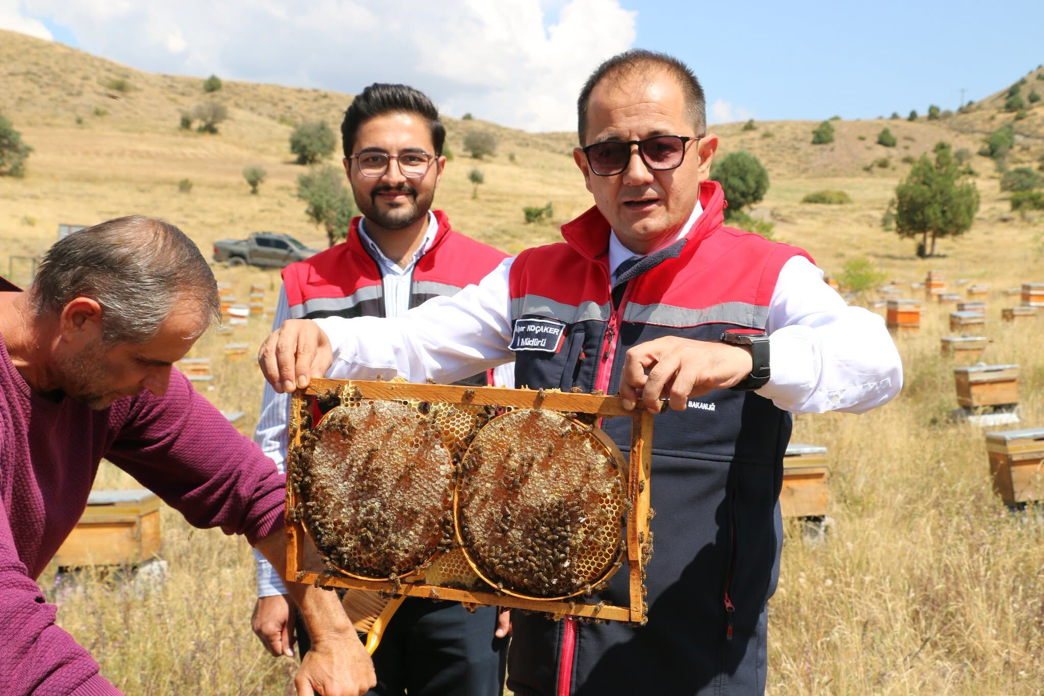 Organik Arıcılık (4)