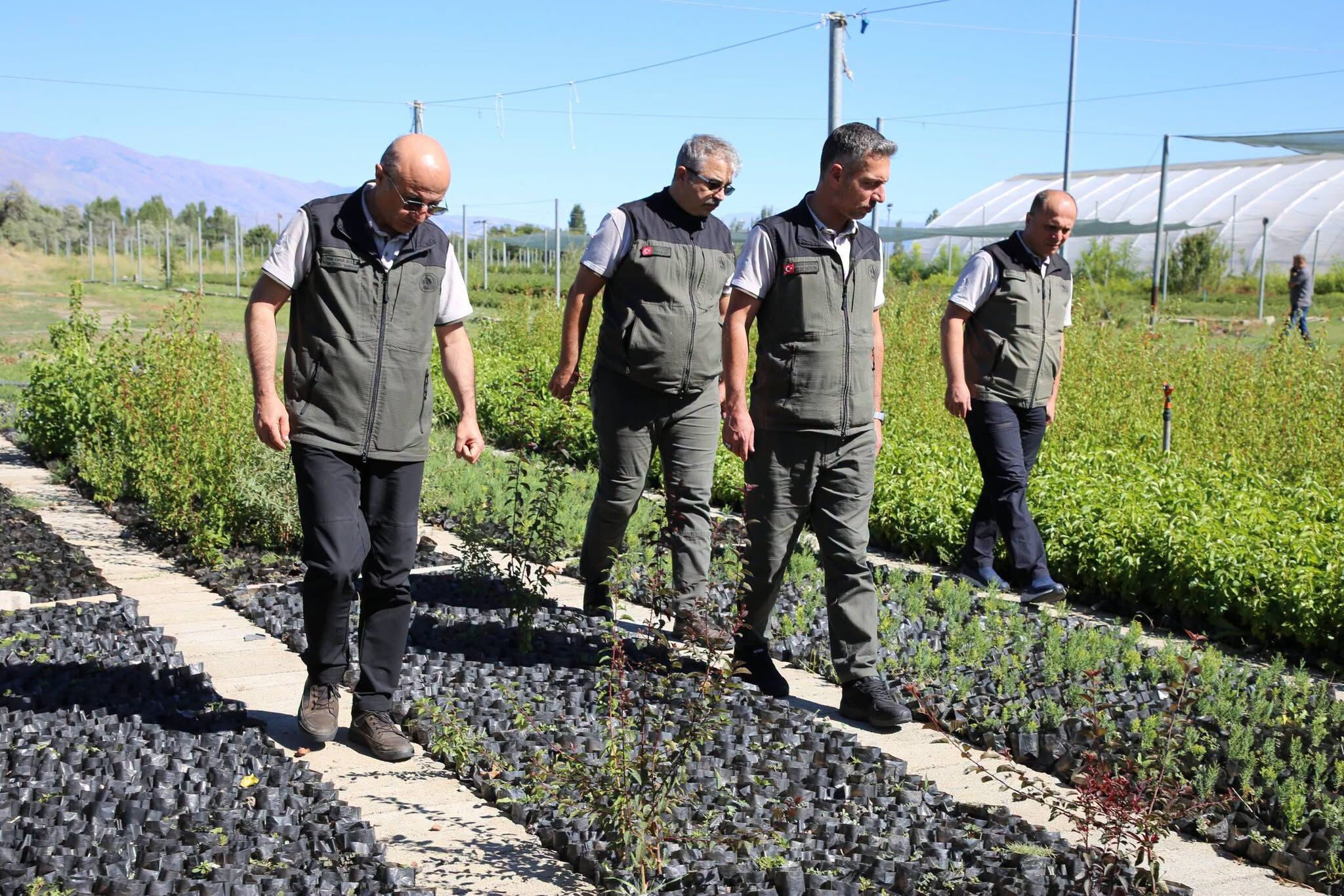 Erzincan Orman Fidanlık Şefliği (2)