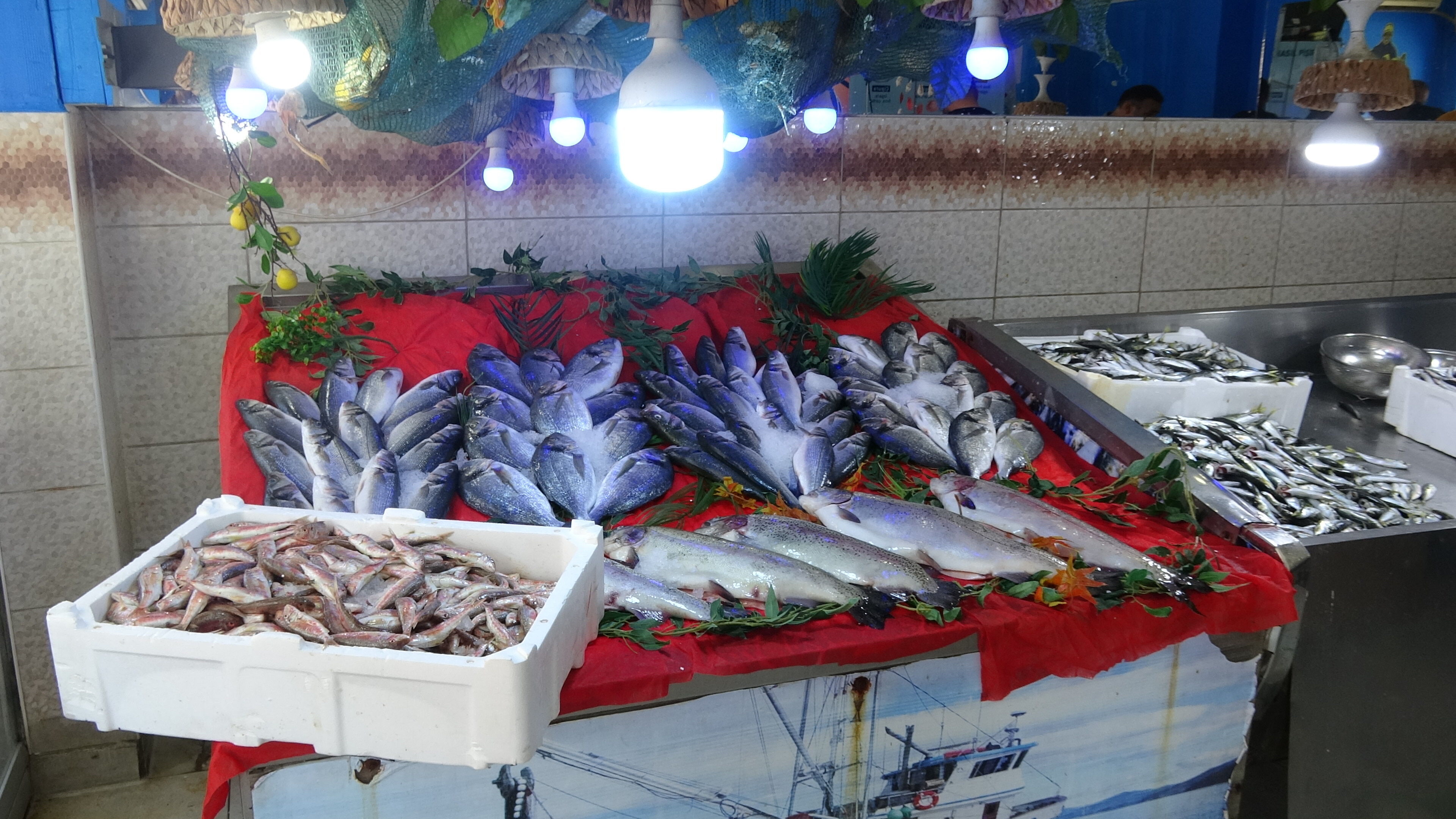 Erzincan’da Balık Bereketi Başladı! İşte Sezonun İlk Fiyatları