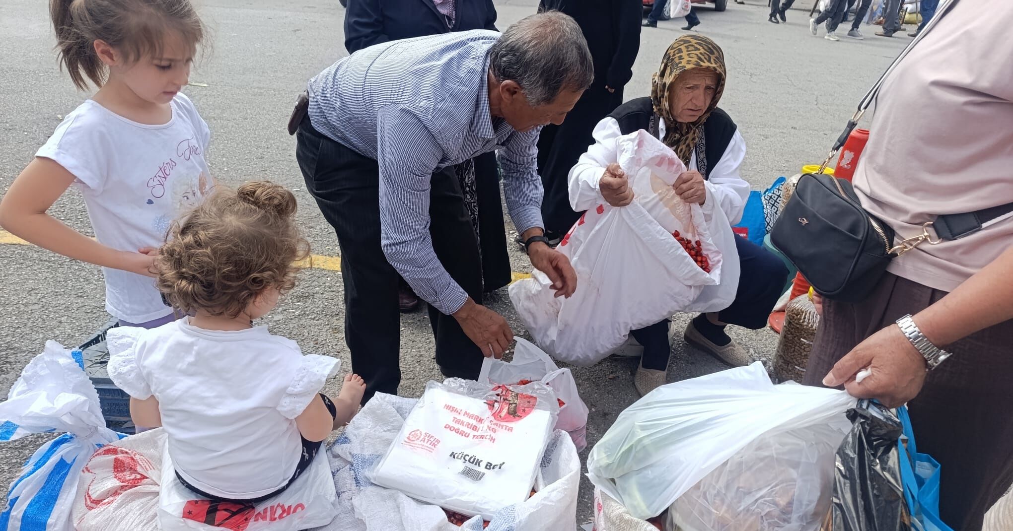 Erzincan’da Kuşburnu Hareketliliği Başladı! Kilosu Ne Kadar (1)