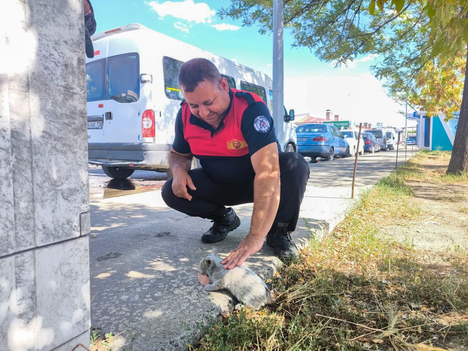 Kedi Kurtarım 2