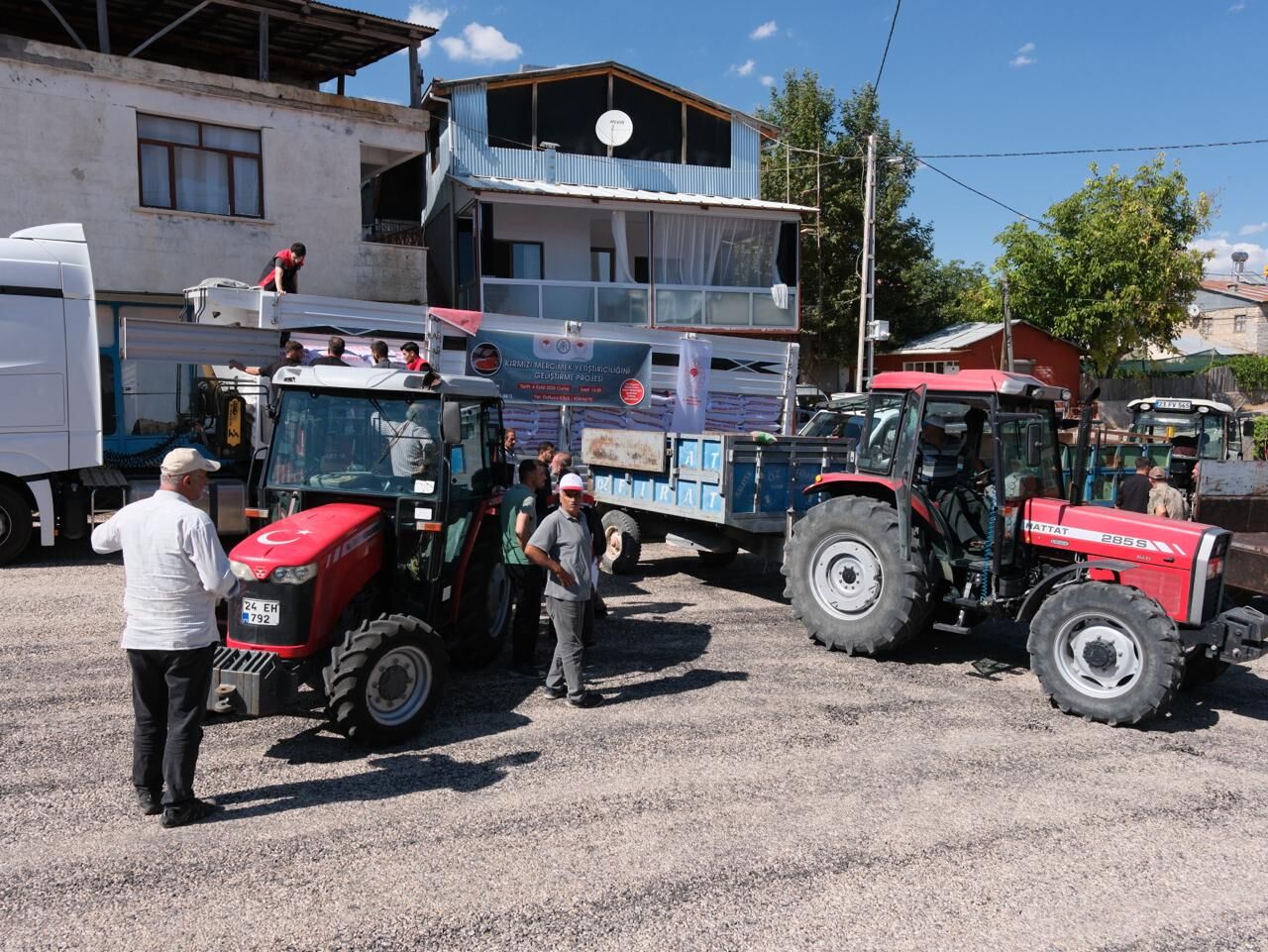Mercimek Dağıtım (6)