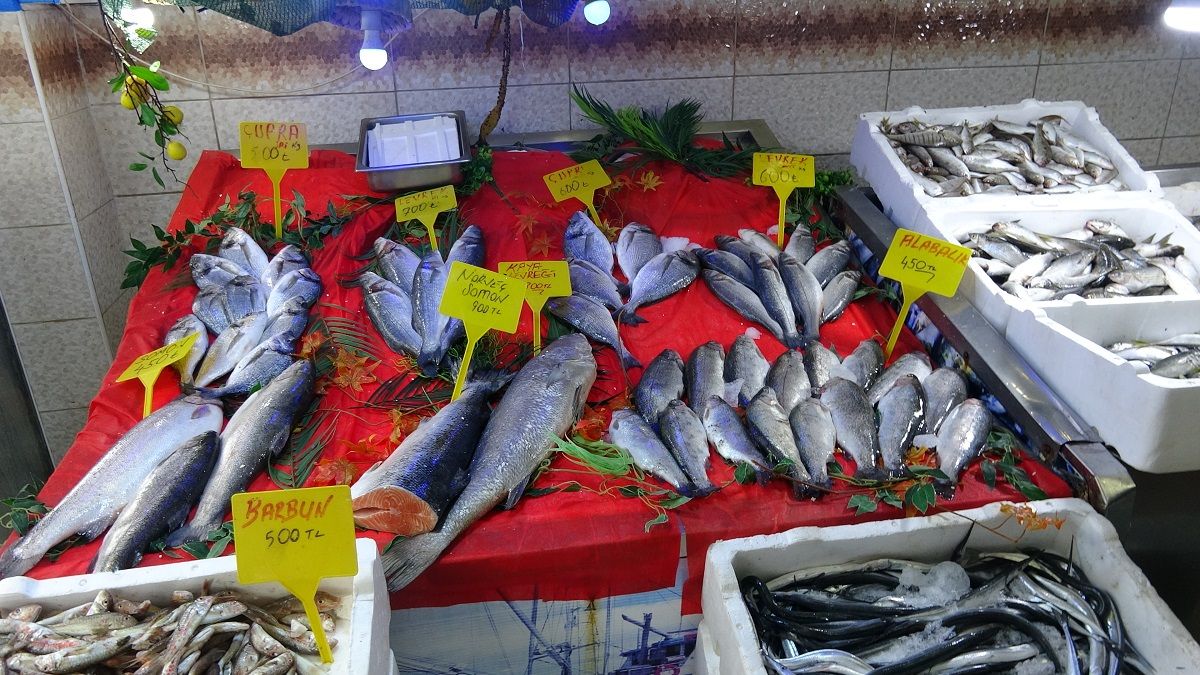 Erzincan’da Balık Tezgâhlarında Son Durum! Hamsi Ve Palamut Kaç Tl