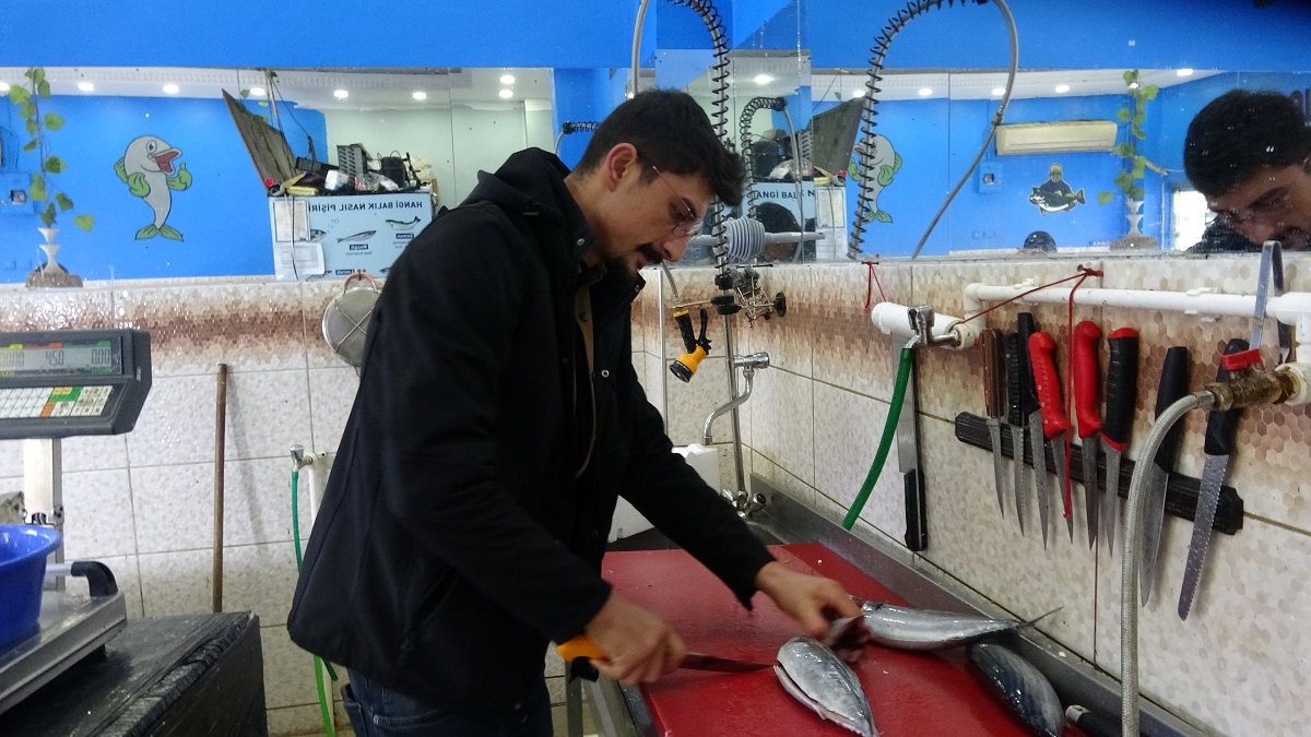 Erzincan’da Balık Tezgâhlarında Son Durum! Hamsi Ve Palamut Kaç Tl2
