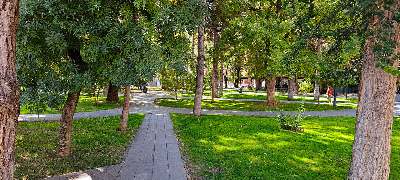 Erzincan’da Pazar Günü İnsanlar Ne Yapıyor Yaz Siz.1