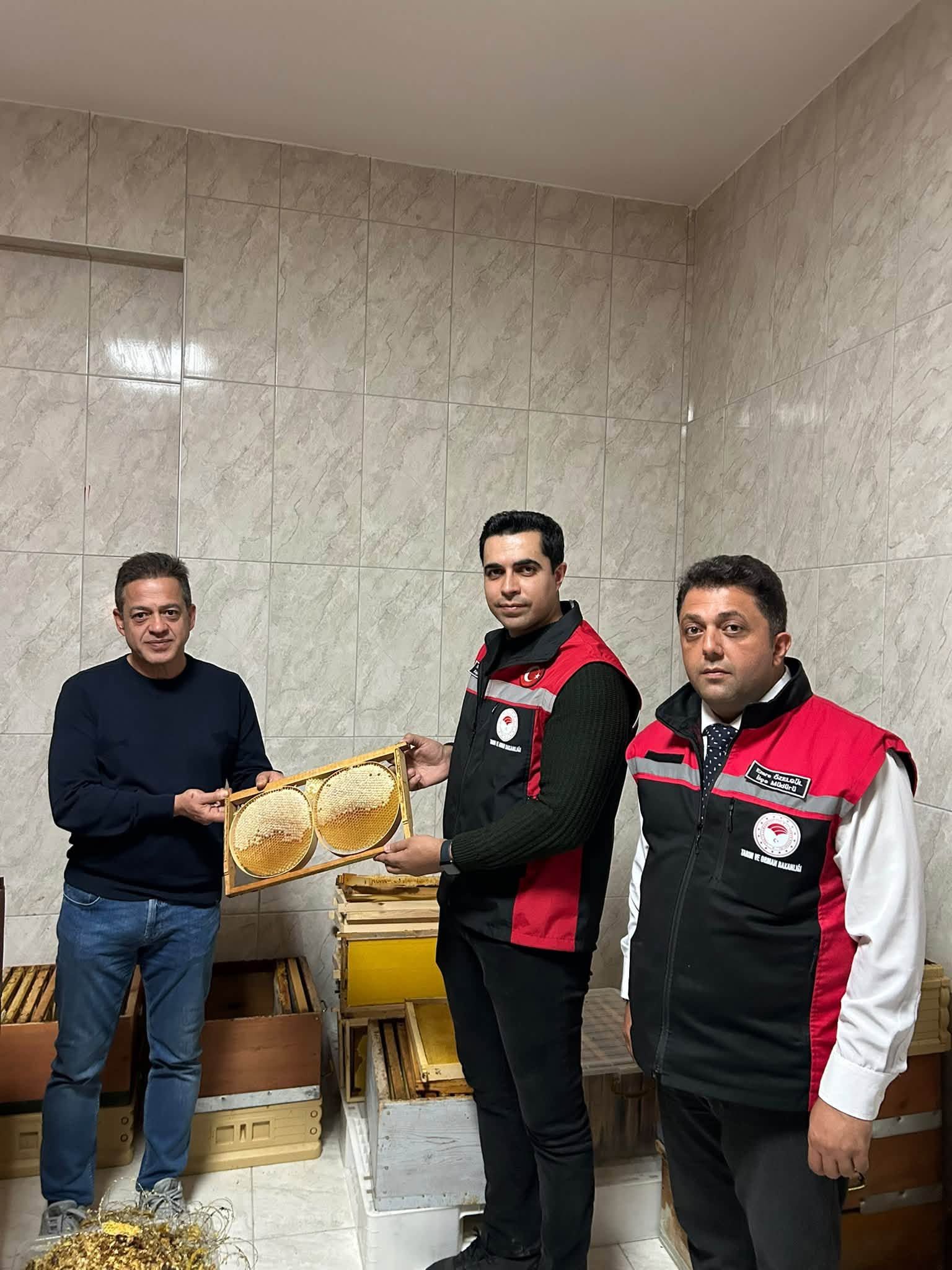Kemah Ceviz Bal (6)